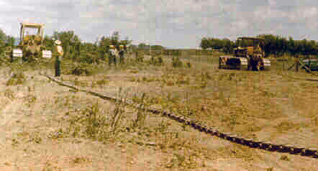 pasture grazed by goats