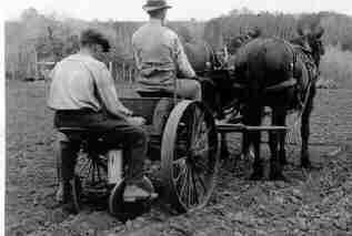 horse drawn farm implement