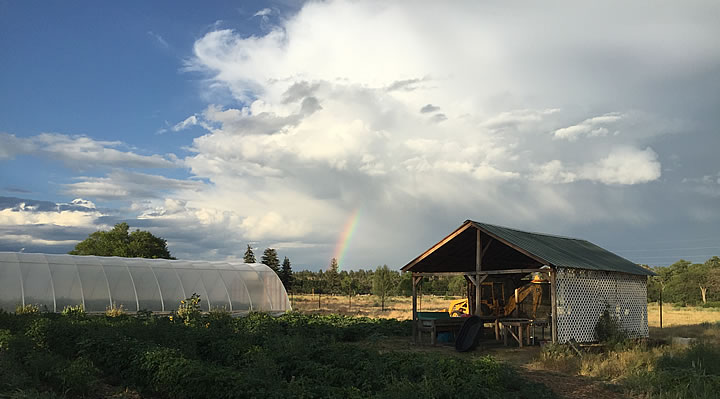 hoop-house-and-shed