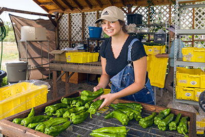 Callie Truett washing peppers