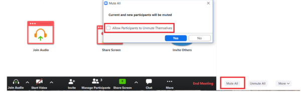 Picture of the Zoom app while clicking on the Mute All button
