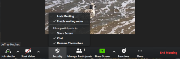 Picture of the Zoom app while hovering over the Security button